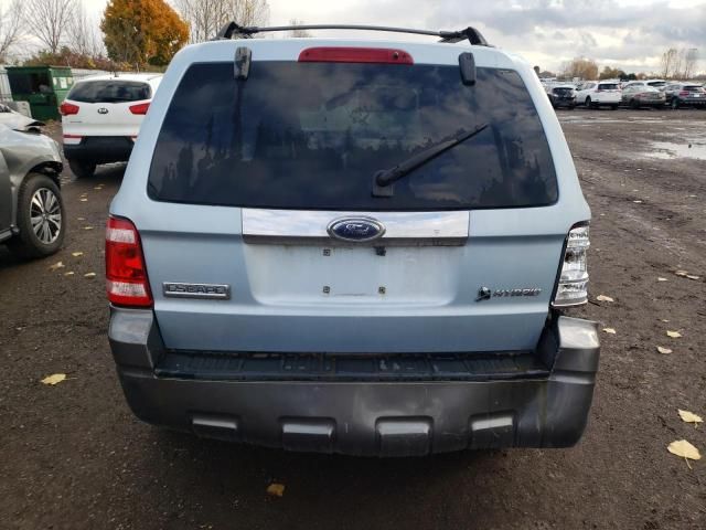 2010 Ford Escape XLT