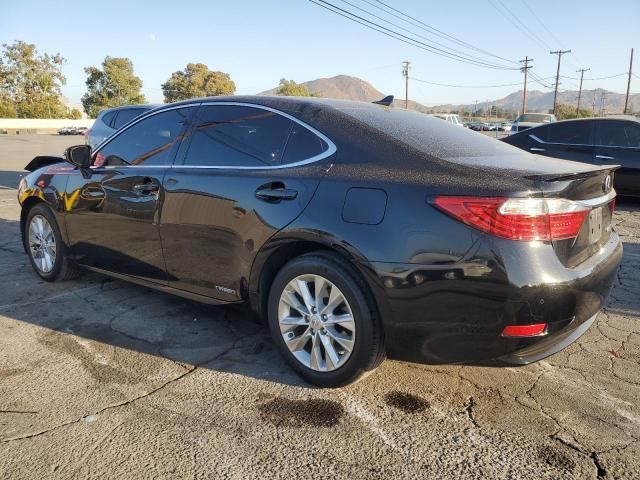 2014 Lexus ES 300H