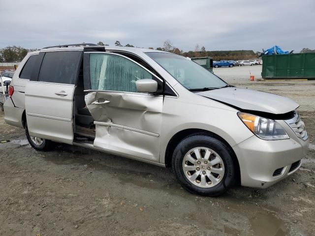 2008 Honda Odyssey EXL