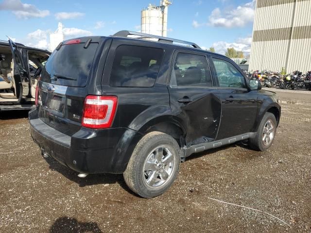 2011 Ford Escape Limited