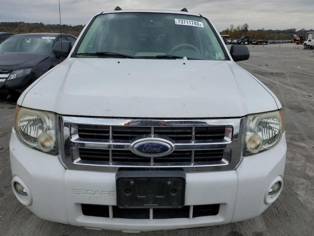 2008 Ford Escape XLT