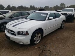 Salvage cars for sale from Copart Elgin, IL: 2010 Dodge Charger SXT