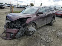 Salvage cars for sale from Copart Eugene, OR: 2019 KIA Sorento EX