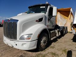 Salvage trucks for sale at Albuquerque, NM auction: 2020 Peterbilt 579