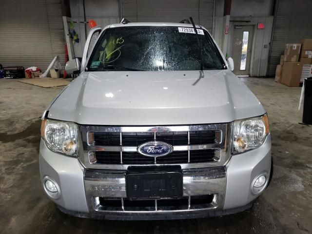 2009 Ford Escape Limited