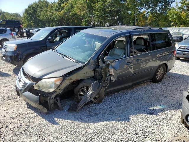 2008 Honda Odyssey EXL