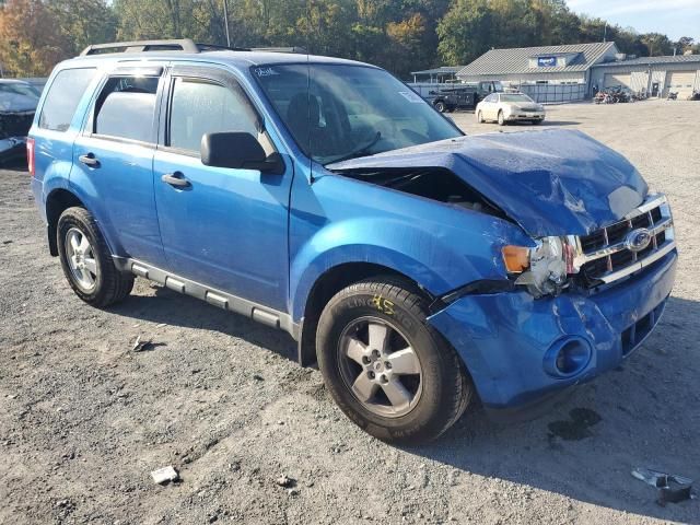 2011 Ford Escape XLS