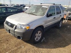 Ford Escape hev salvage cars for sale: 2005 Ford Escape HEV
