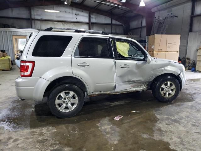 2009 Ford Escape Limited