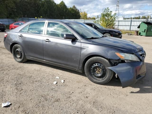 2008 Toyota Camry Hybrid