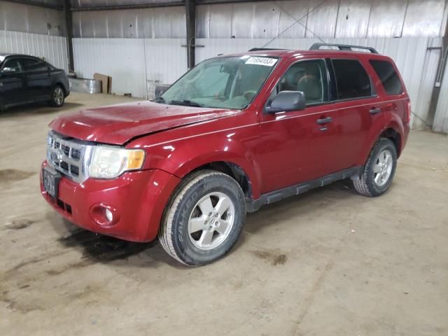 2010 Ford Escape XLT