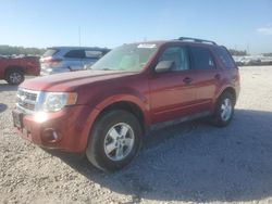 Ford Escape XLT salvage cars for sale: 2012 Ford Escape XLT