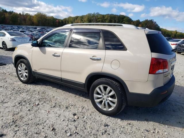 2011 KIA Sorento Base