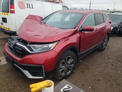 Salvage cars for sale at Elgin, IL auction: 2022 Honda CR-V EX