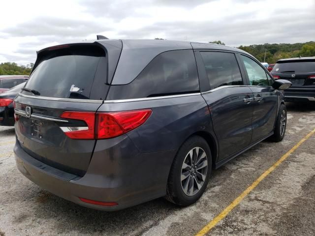 2023 Honda Odyssey EXL