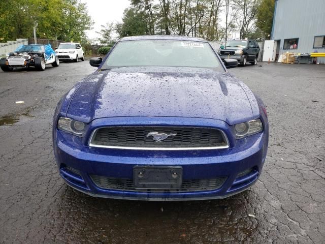 2013 Ford Mustang