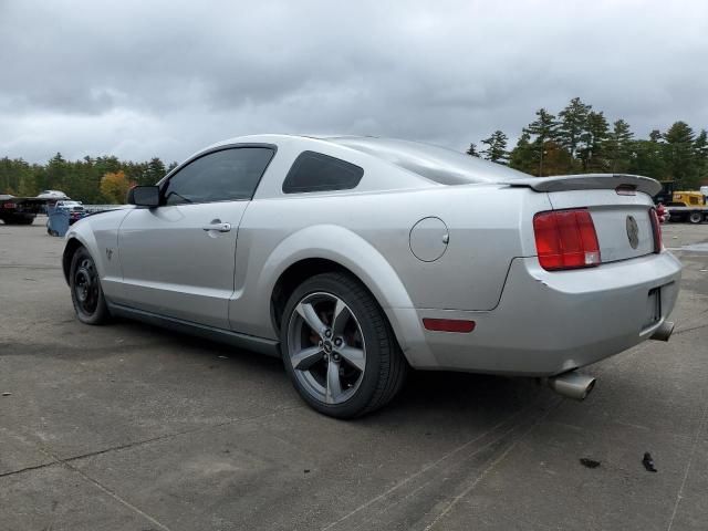 2009 Ford Mustang