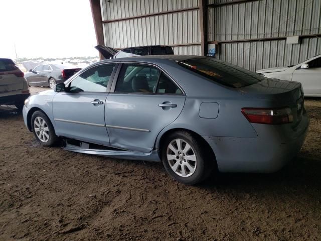 2009 Toyota Camry Hybrid