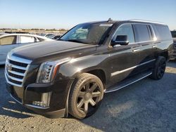 Cadillac Escalade salvage cars for sale: 2016 Cadillac Escalade ESV Luxury