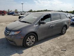 2014 Honda Odyssey EXL en venta en Indianapolis, IN
