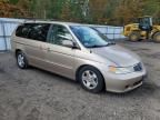 2001 Honda Odyssey EX