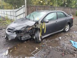 Salvage cars for sale from Copart Portland, OR: 2011 Toyota Corolla Base