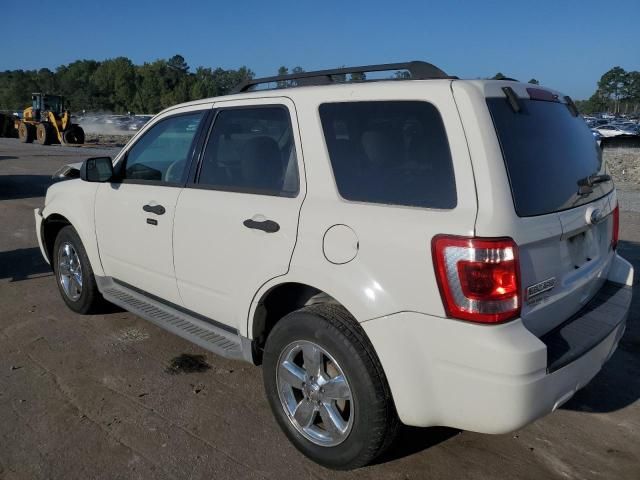 2011 Ford Escape XLT