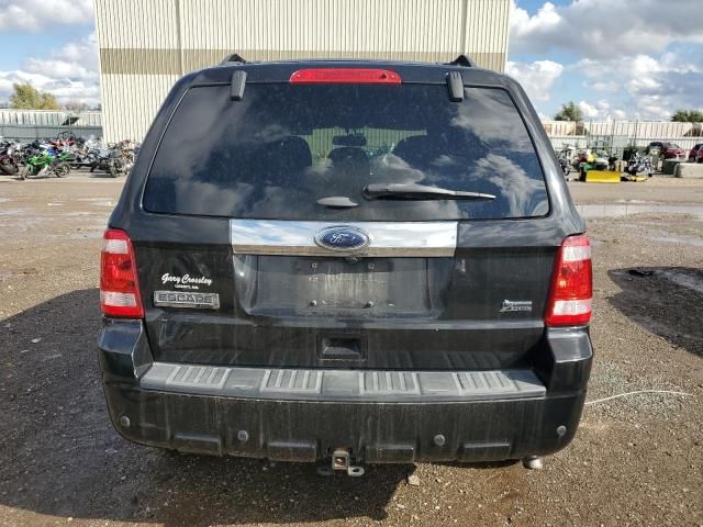 2011 Ford Escape Limited