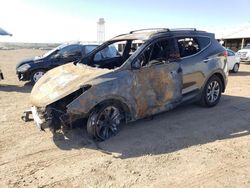 Salvage cars for sale from Copart Phoenix, AZ: 2014 Hyundai Santa FE Sport