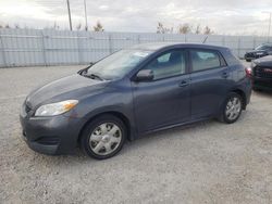 Vehiculos salvage en venta de Copart Nisku, AB: 2009 Toyota Corolla Matrix S