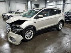 Salvage cars for sale at Ham Lake, MN auction: 2018 Ford Escape SEL