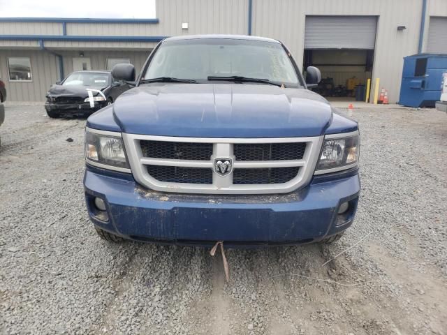 2010 Dodge Dakota SXT