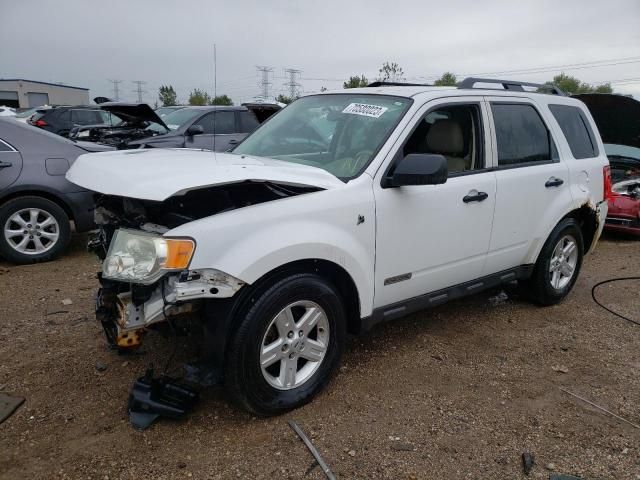 2008 Ford Escape HEV