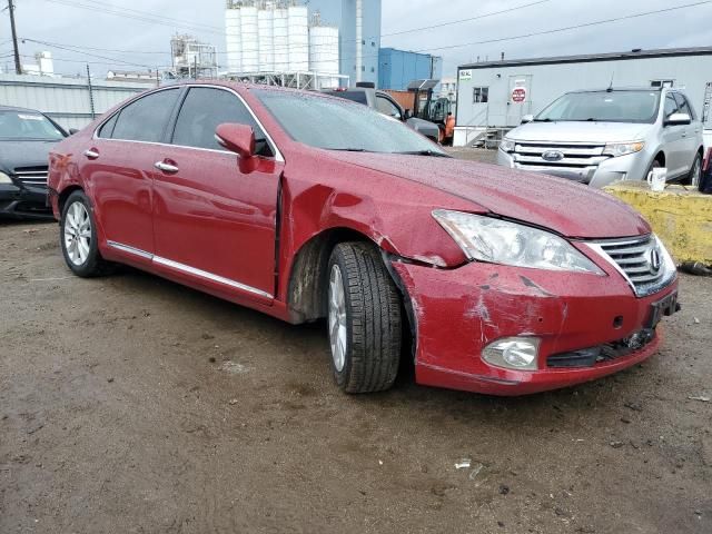 2011 Lexus ES 350