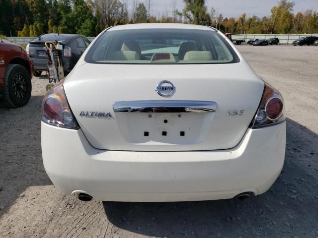 2010 Nissan Altima Base