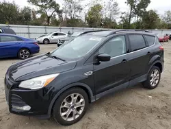 Salvage cars for sale at Hampton, VA auction: 2014 Ford Escape SE