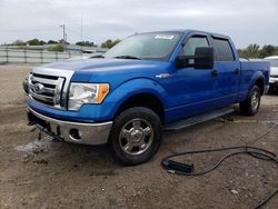 Salvage cars for sale at Louisville, KY auction: 2010 Ford F150 Supercrew