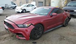 Salvage cars for sale at Fredericksburg, VA auction: 2015 Ford Mustang