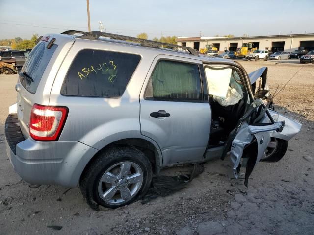 2011 Ford Escape XLT