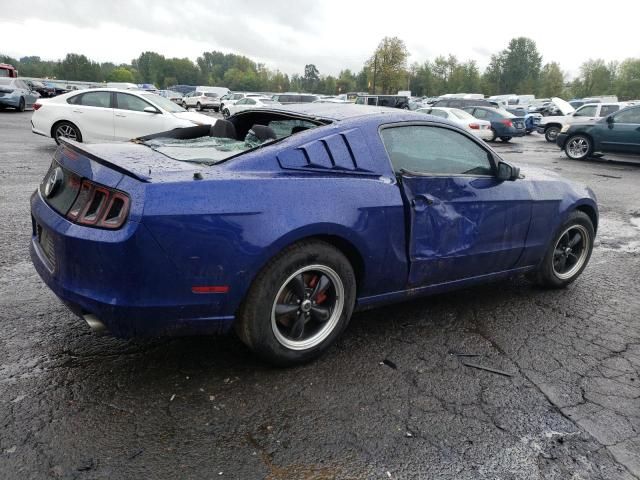 2013 Ford Mustang