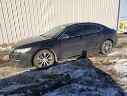 Salvage cars for sale at Helena, MT auction: 2015 Acura TLX Tech