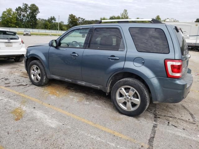 2011 Ford Escape Limited