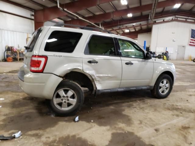 2009 Ford Escape XLT