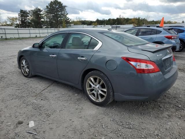 2010 Nissan Maxima S