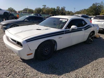 2013 Dodge Challenger R/T for sale in Riverview, FL