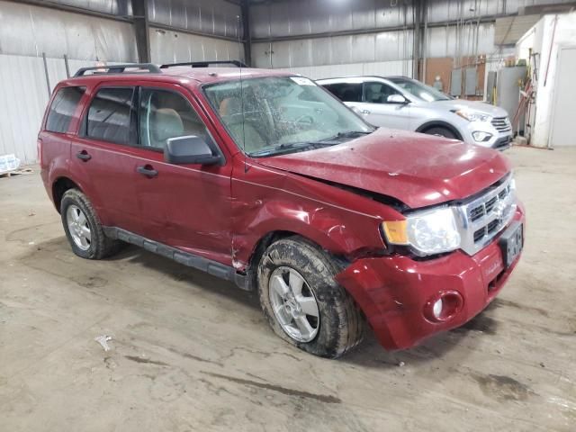 2010 Ford Escape XLT