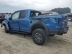 2019 Ford F150 Raptor