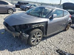 Salvage cars for sale at auction: 2016 Hyundai Veloster