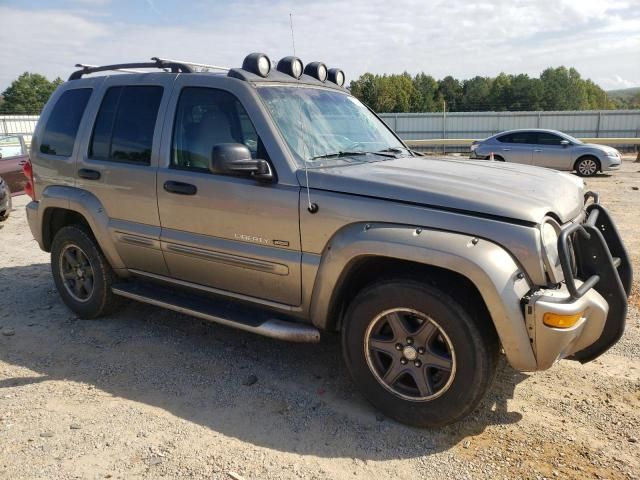 2002 Jeep Liberty Renegade