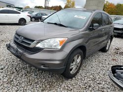 2011 Honda CR-V LX en venta en Wayland, MI